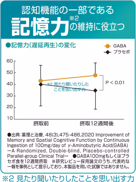 記憶力グラフ