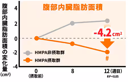 腹部内臓脂肪面積の変化グラフ
