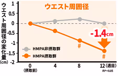 ウエスト周囲径の変化グラフ